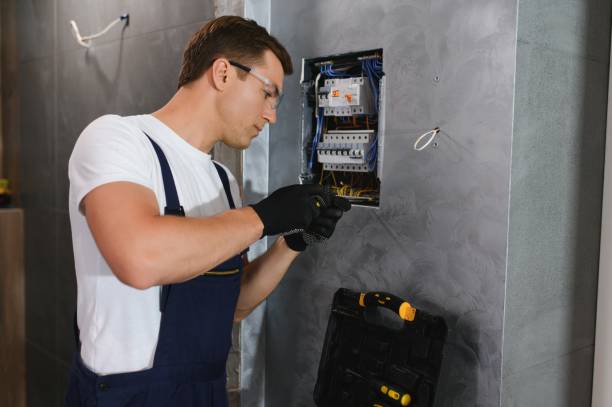 Best Electrical System Inspection  in Davisboro, GA